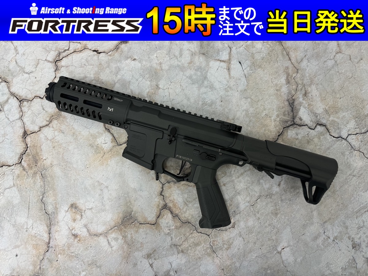 G&G ARP9 バトルシップグレー - フォートレス WEBショップ