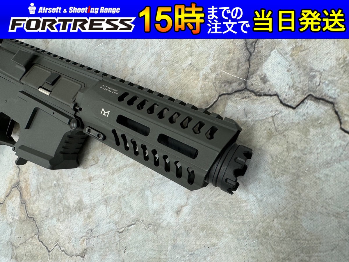 G&G ARP9 バトルシップグレー - フォートレス WEBショップ